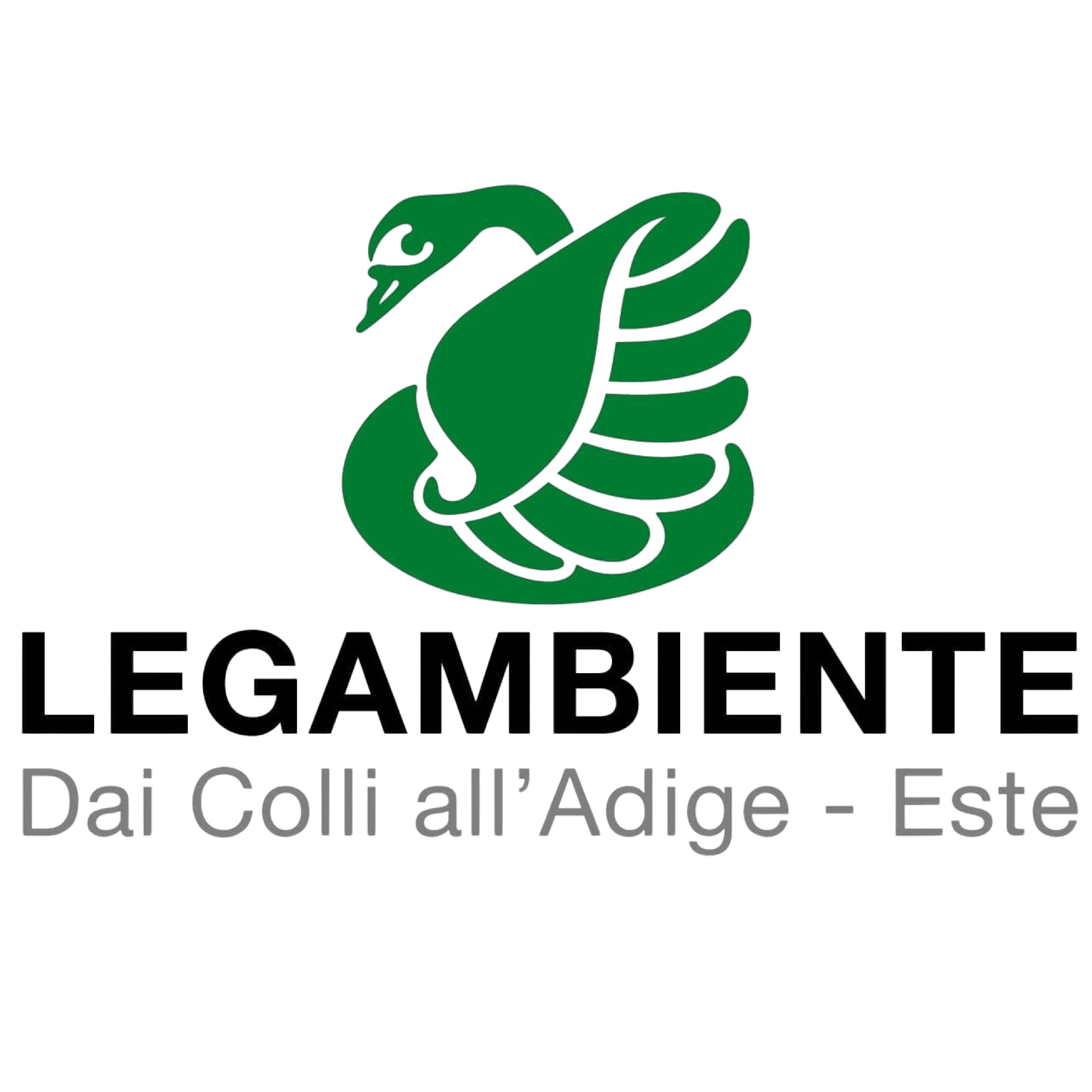 Euganea Film Festival - Partner - undefined